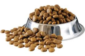 Dry food for dogs